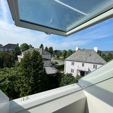 Penthouse, Sea View, Quiet And Central, Free Parking Apartament Trondheim