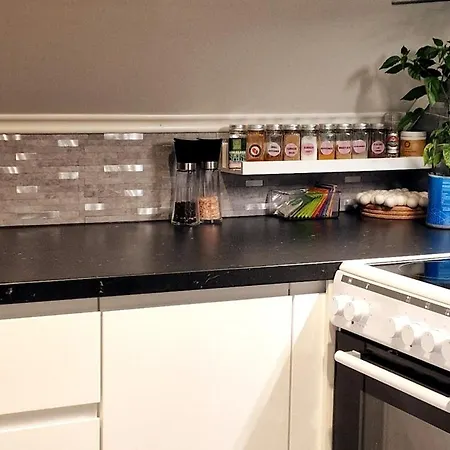 Penthouse, Sea View, Quiet And Central, Free Parking Apartament Trondheim