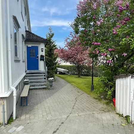 Penthouse, Sea View, Quiet And Central, Free Parking